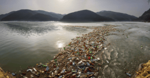 La-verite-sur-leau-en-bouteille-que-nous-buvonspng - Paonia Blu Particuliers anti-calcaire La vérité sur l'eau en bouteille que nous buvons